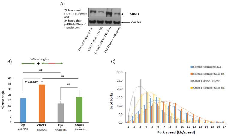 https://cdn.ncbi.nlm.nih.gov/pmc/blobs/5048/10378556/f761b37bbed3/cells-12-01868-g004.jpg
