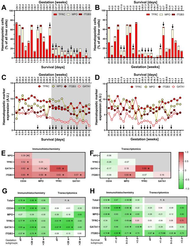 https://cdn.ncbi.nlm.nih.gov/pmc/blobs/504b/12129751/04659e89098e/fped-13-1572836-g002.jpg