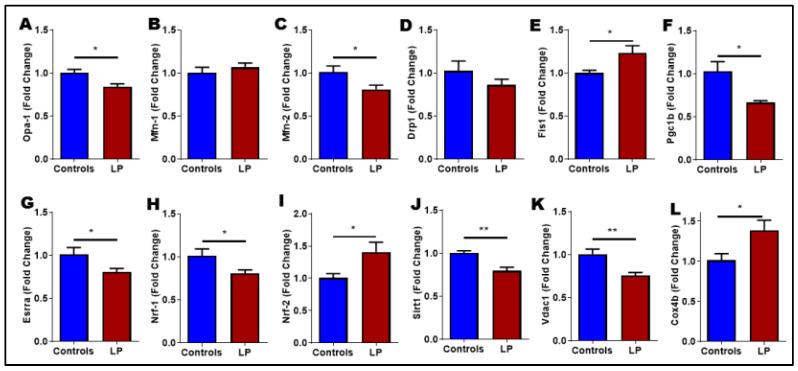 https://cdn.ncbi.nlm.nih.gov/pmc/blobs/504b/8954615/16c0b4640927/nutrients-14-01158-g005.jpg