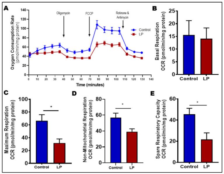 https://cdn.ncbi.nlm.nih.gov/pmc/blobs/504b/8954615/5a9ada21ce29/nutrients-14-01158-g003.jpg