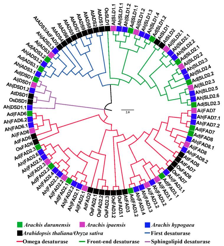 https://cdn.ncbi.nlm.nih.gov/pmc/blobs/504b/9601973/2bff1d9a6387/genes-13-01718-g001.jpg