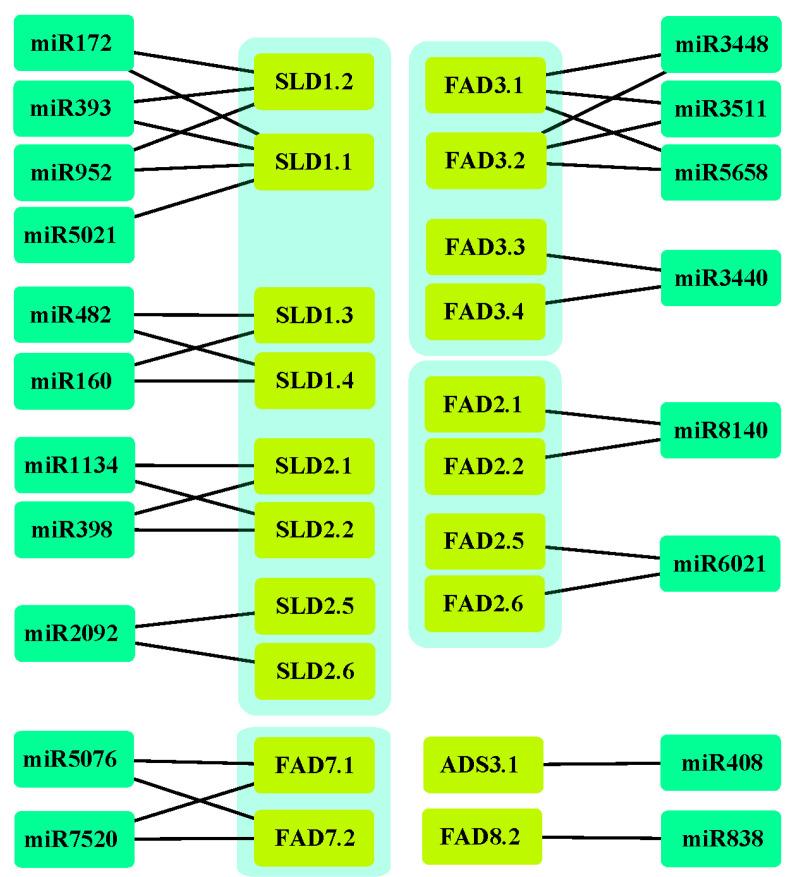 https://cdn.ncbi.nlm.nih.gov/pmc/blobs/504b/9601973/3074357cc768/genes-13-01718-g008.jpg
