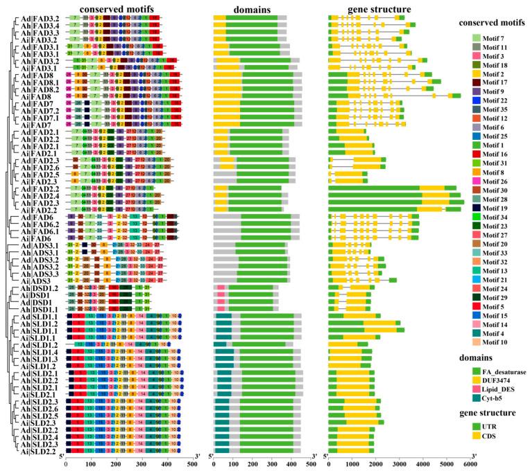 https://cdn.ncbi.nlm.nih.gov/pmc/blobs/504b/9601973/ad66db8b68fc/genes-13-01718-g002.jpg