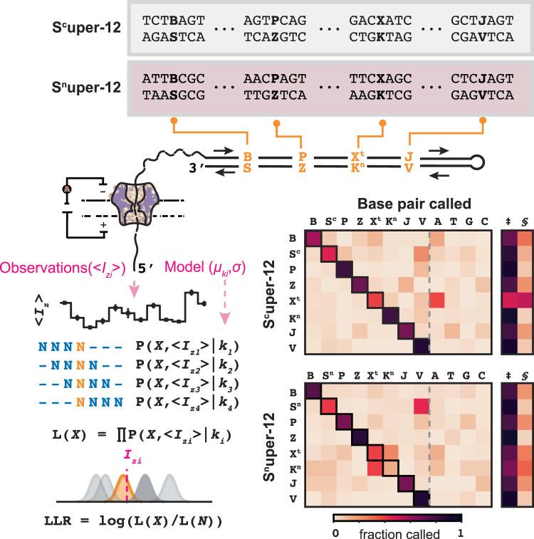 https://cdn.ncbi.nlm.nih.gov/pmc/blobs/504c/10603101/f404d7698415/41467_2023_42406_Fig5_HTML.jpg