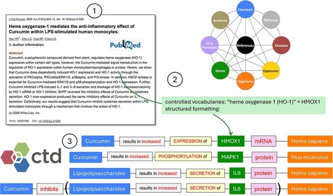 https://cdn.ncbi.nlm.nih.gov/pmc/blobs/504c/11844237/7858f468d5bd/baaf013f1.jpg