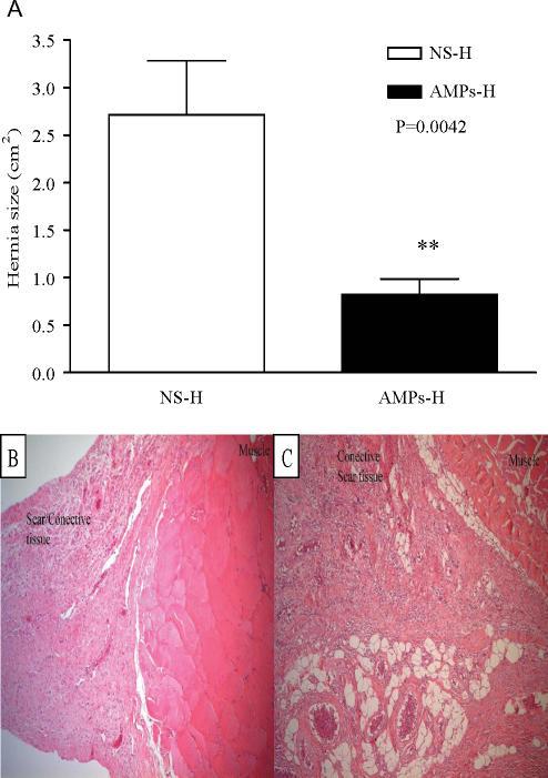 https://cdn.ncbi.nlm.nih.gov/pmc/blobs/504e/2064968/754fe1b45ccb/jobw07e5_fig7.jpg