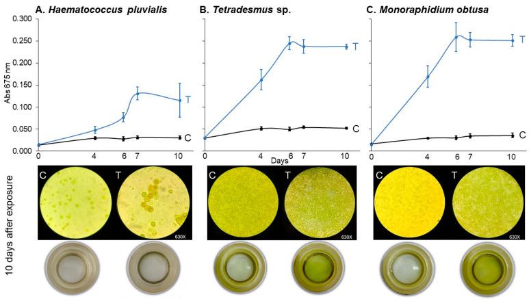 https://cdn.ncbi.nlm.nih.gov/pmc/blobs/504f/12194706/e1e4140a7d8b/jox-15-00090-g005.jpg