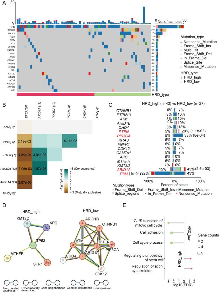 https://cdn.ncbi.nlm.nih.gov/pmc/blobs/504f/12398958/00fe13215b1d/40246_2025_806_Fig5_HTML.jpg