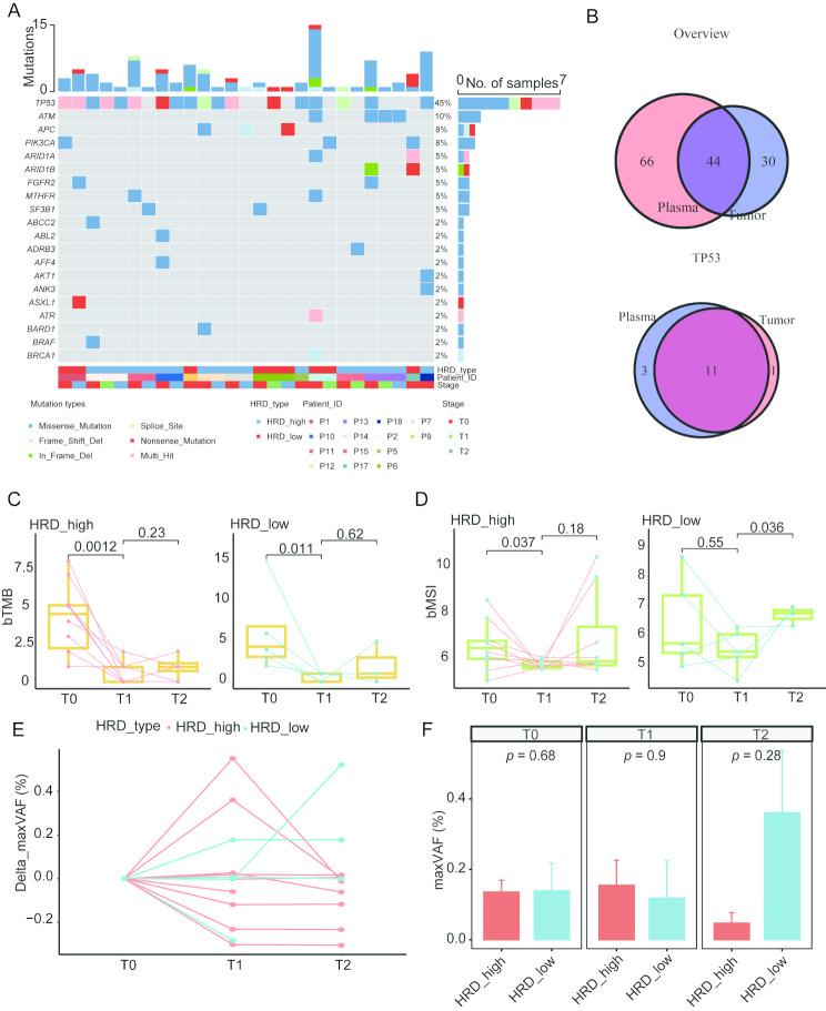 https://cdn.ncbi.nlm.nih.gov/pmc/blobs/504f/12398958/0ee429cb7b55/40246_2025_806_Fig4_HTML.jpg