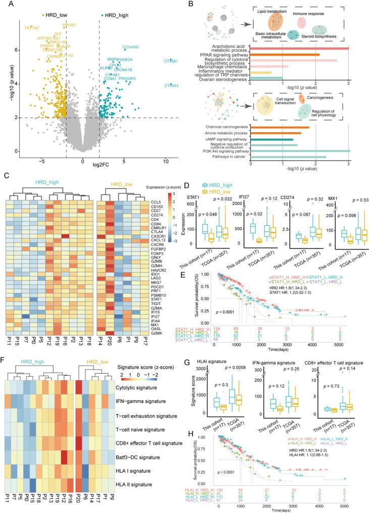 https://cdn.ncbi.nlm.nih.gov/pmc/blobs/504f/12398958/10930559c380/40246_2025_806_Fig2_HTML.jpg