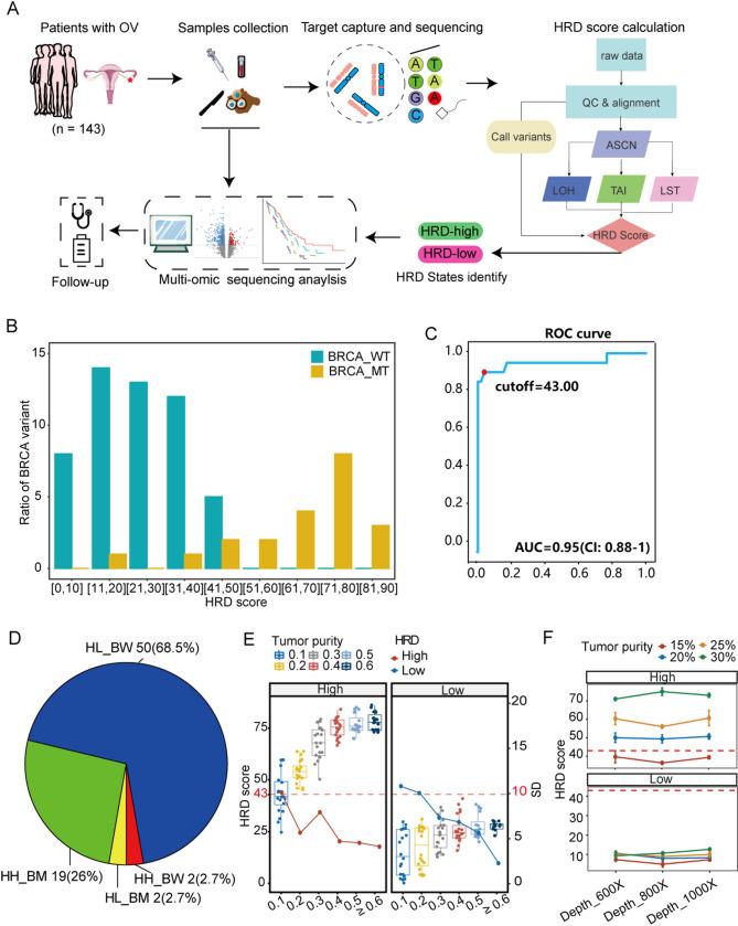 https://cdn.ncbi.nlm.nih.gov/pmc/blobs/504f/12398958/7a81fbb3272b/40246_2025_806_Fig1_HTML.jpg