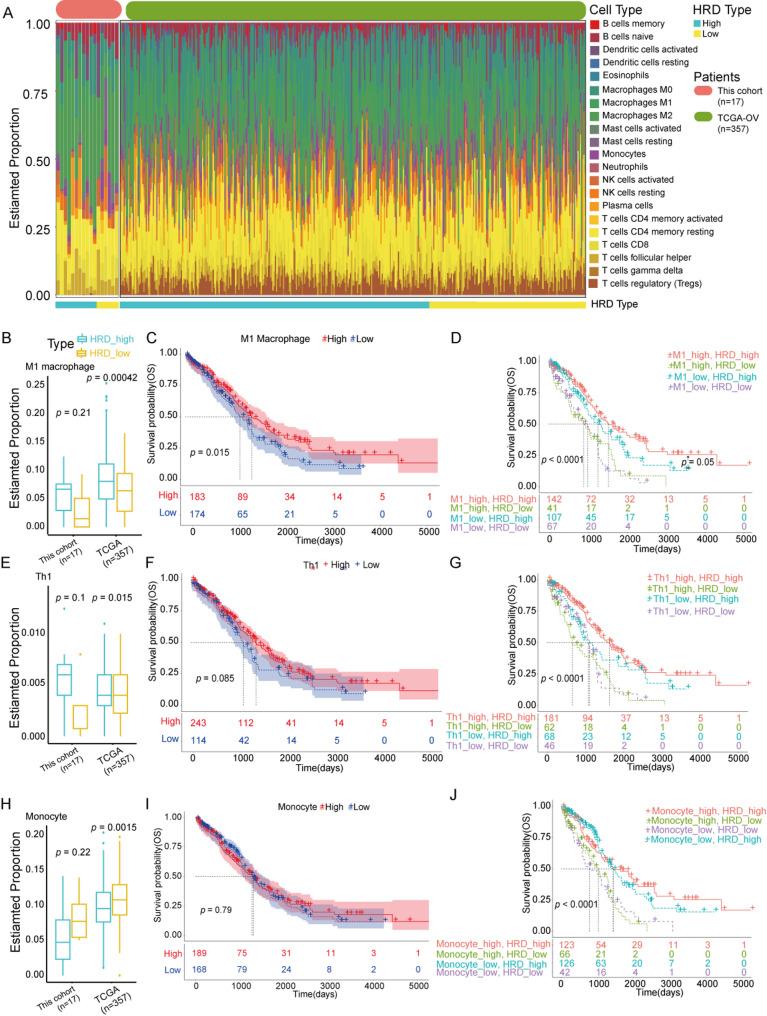 https://cdn.ncbi.nlm.nih.gov/pmc/blobs/504f/12398958/99bf8507a3e7/40246_2025_806_Fig3_HTML.jpg