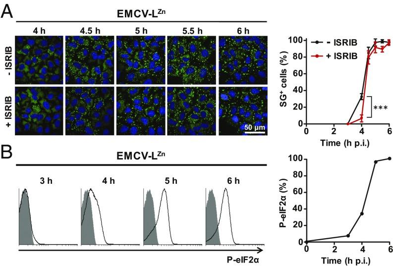 https://cdn.ncbi.nlm.nih.gov/pmc/blobs/5050/6369741/cd1a21290396/pnas.1815767116fig02.jpg