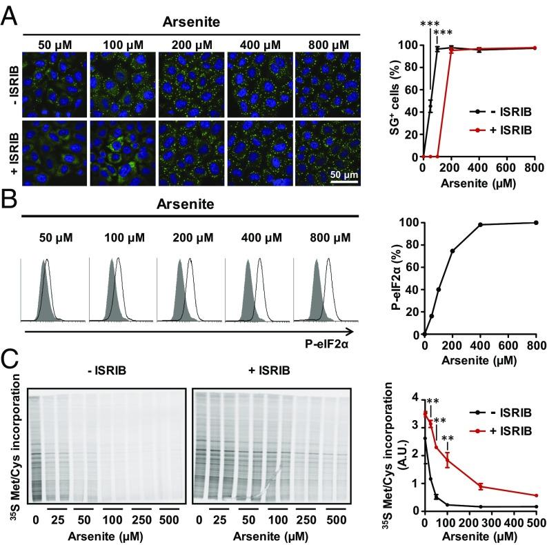 https://cdn.ncbi.nlm.nih.gov/pmc/blobs/5050/6369741/fdc9a9bd60e3/pnas.1815767116fig04.jpg
