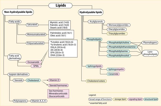 https://cdn.ncbi.nlm.nih.gov/pmc/blobs/5052/11754334/c4c76fbabfc0/281_2024_1033_Fig3_HTML.jpg