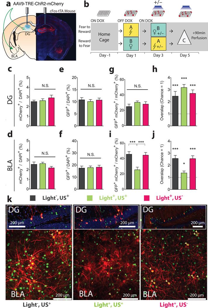 https://cdn.ncbi.nlm.nih.gov/pmc/blobs/5055/4169316/3dc76972f595/nihms617862f3.jpg