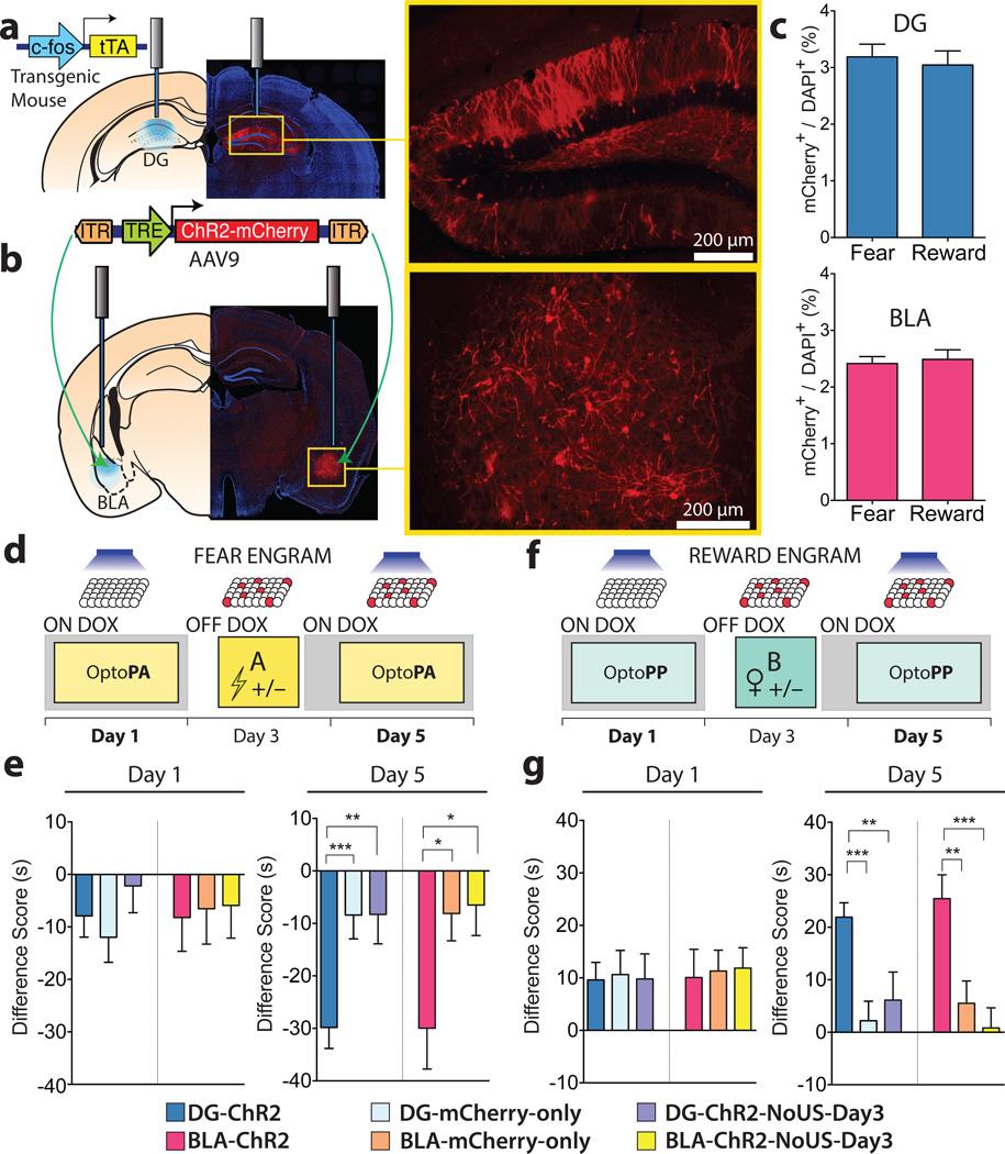 https://cdn.ncbi.nlm.nih.gov/pmc/blobs/5055/4169316/9031c8081a4d/nihms617862f1.jpg
