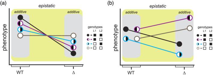 https://cdn.ncbi.nlm.nih.gov/pmc/blobs/5056/7984271/d45684bd8a95/YEA-38-187-g004.jpg