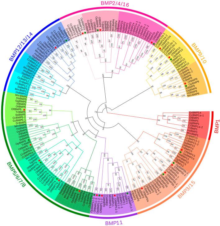 https://cdn.ncbi.nlm.nih.gov/pmc/blobs/5057/9342863/37ffc753d973/fgene-13-938473-g006.jpg