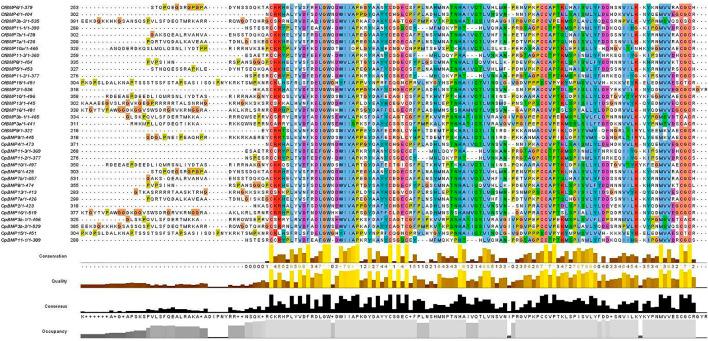 https://cdn.ncbi.nlm.nih.gov/pmc/blobs/5057/9342863/7d99e8dcfa9a/fgene-13-938473-g003.jpg