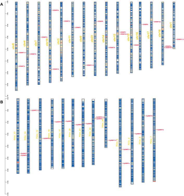 https://cdn.ncbi.nlm.nih.gov/pmc/blobs/5057/9342863/e05fe116a568/fgene-13-938473-g004.jpg