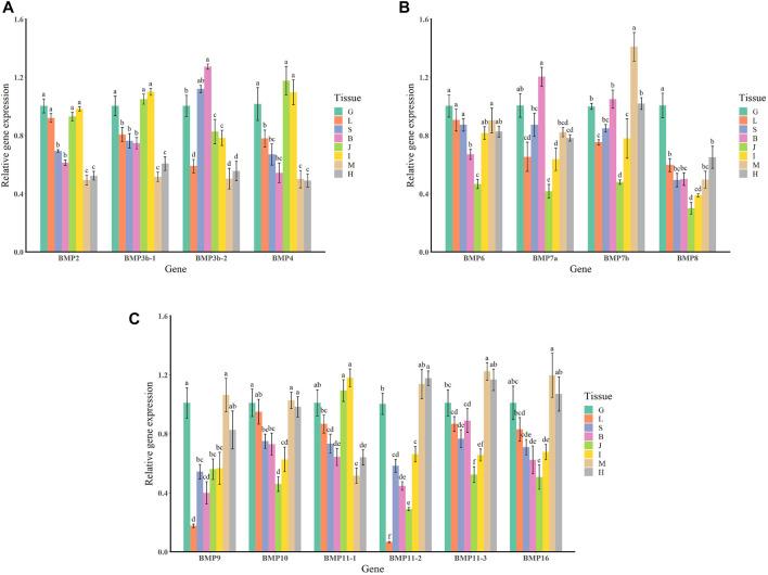 https://cdn.ncbi.nlm.nih.gov/pmc/blobs/5057/9342863/e5fd70a84d01/fgene-13-938473-g008.jpg