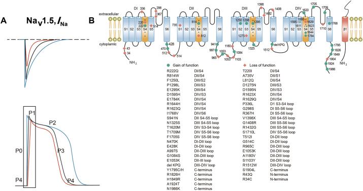 https://cdn.ncbi.nlm.nih.gov/pmc/blobs/5058/12207207/1459f9757fcc/j_mr-2024-0085_fig_002.jpg