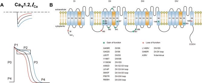 https://cdn.ncbi.nlm.nih.gov/pmc/blobs/5058/12207207/1d958cde9e87/j_mr-2024-0085_fig_003.jpg