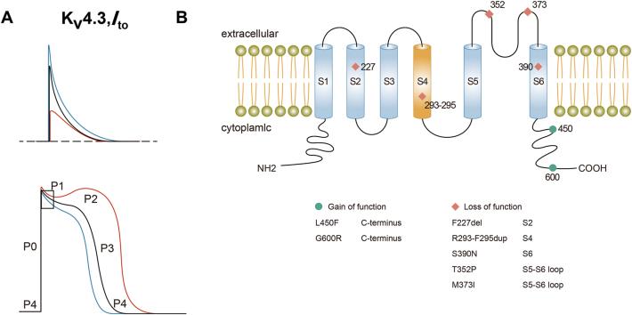 https://cdn.ncbi.nlm.nih.gov/pmc/blobs/5058/12207207/9a0eacae6d88/j_mr-2024-0085_fig_004.jpg