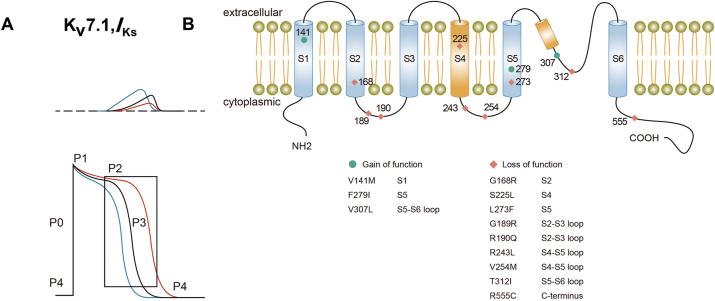 https://cdn.ncbi.nlm.nih.gov/pmc/blobs/5058/12207207/fb816ec93418/j_mr-2024-0085_fig_005.jpg