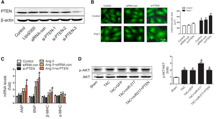 https://cdn.ncbi.nlm.nih.gov/pmc/blobs/5058/6005806/5dd80c3654af/gr5.jpg