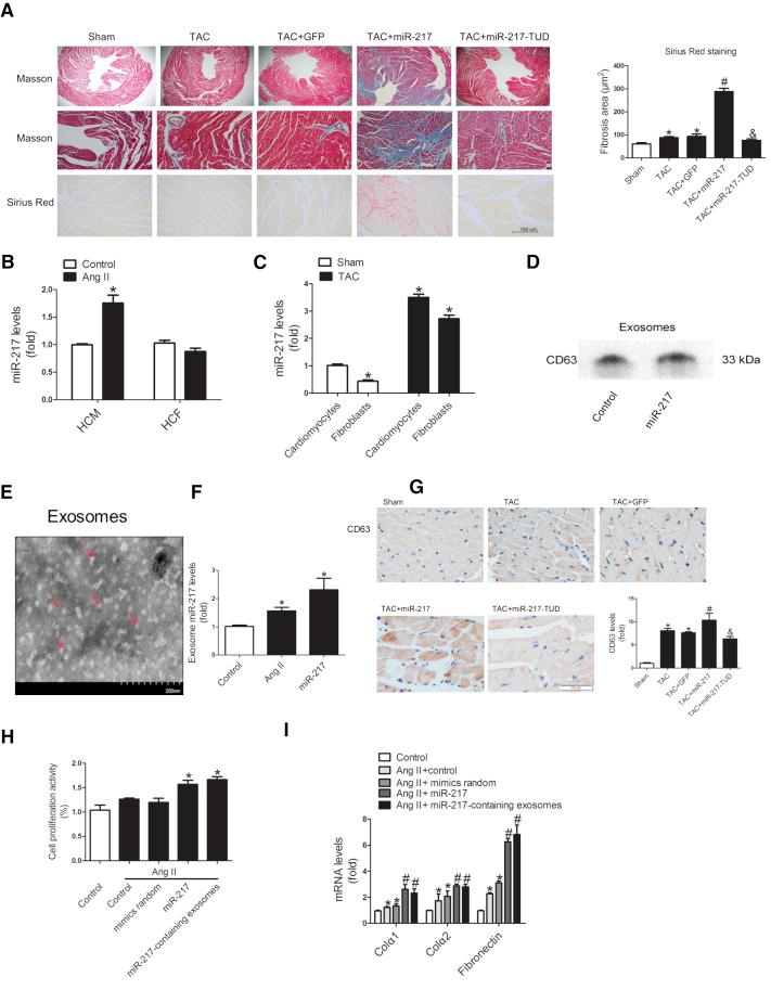 https://cdn.ncbi.nlm.nih.gov/pmc/blobs/5058/6005806/7fed9bf251d5/gr6.jpg