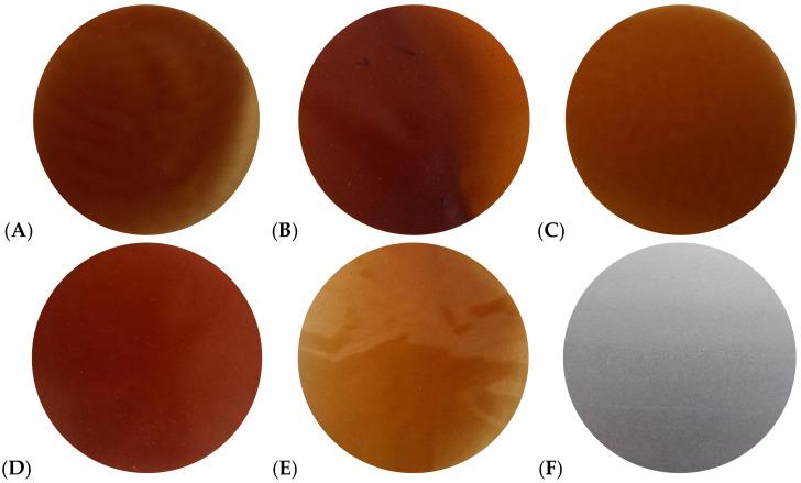 https://cdn.ncbi.nlm.nih.gov/pmc/blobs/5058/9103775/4f0c84b5e498/materials-15-03236-g001.jpg