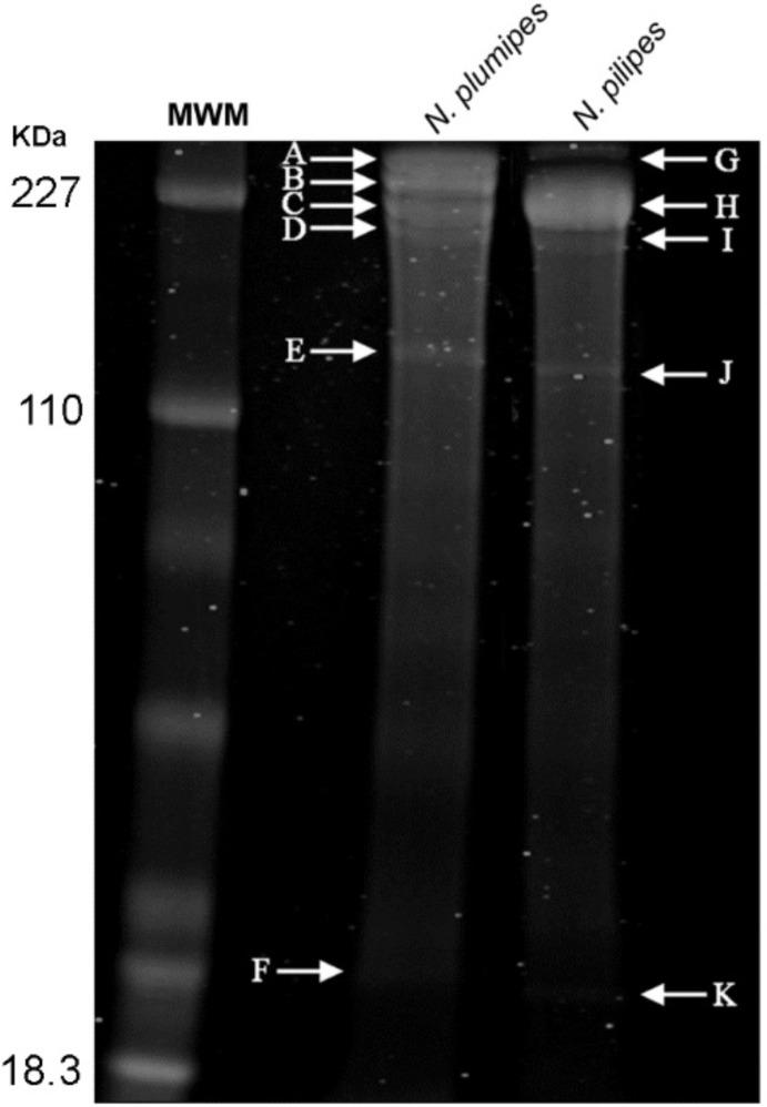 https://cdn.ncbi.nlm.nih.gov/pmc/blobs/5059/6192577/7a0f74798732/pone.0204243.g002.jpg