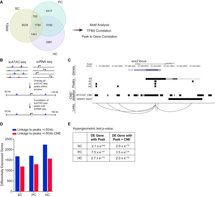 https://cdn.ncbi.nlm.nih.gov/pmc/blobs/5059/9903737/e37d3e27ee74/gr5.jpg
