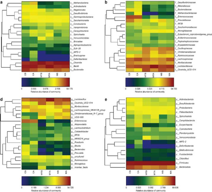 https://cdn.ncbi.nlm.nih.gov/pmc/blobs/505c/11266741/05869ce361ba/IJBMS-27-1148-g006.jpg