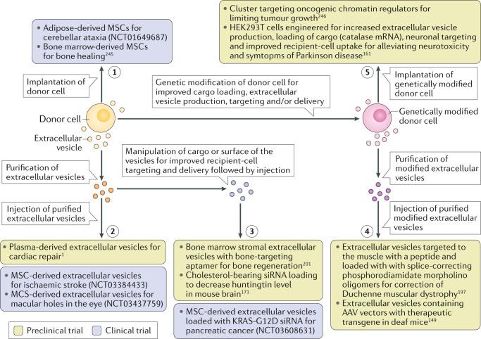 https://cdn.ncbi.nlm.nih.gov/pmc/blobs/505d/7249041/bec8d9457262/41580_2020_251_Fig4_HTML.jpg
