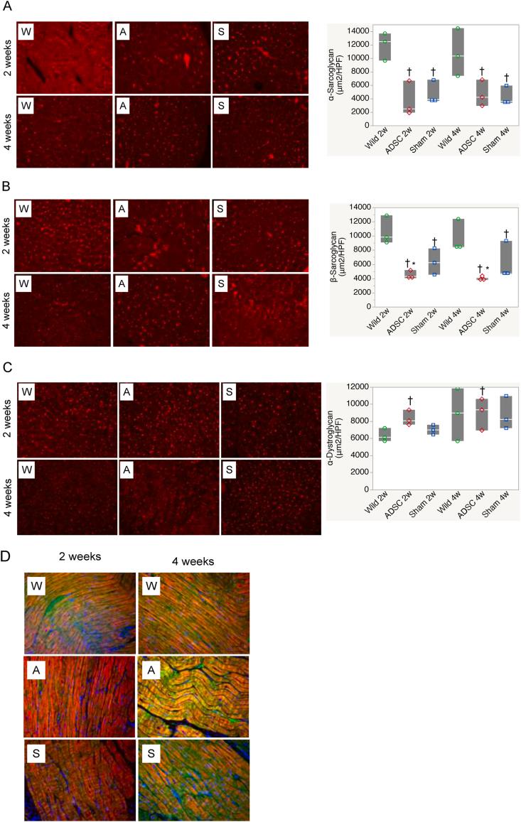 https://cdn.ncbi.nlm.nih.gov/pmc/blobs/505f/8278151/4ecc5395613e/gr6.jpg