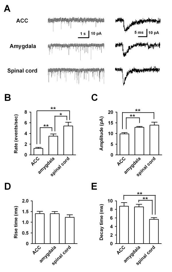 https://cdn.ncbi.nlm.nih.gov/pmc/blobs/5060/2639542/e0f33ce5b074/1744-8069-5-4-3.jpg