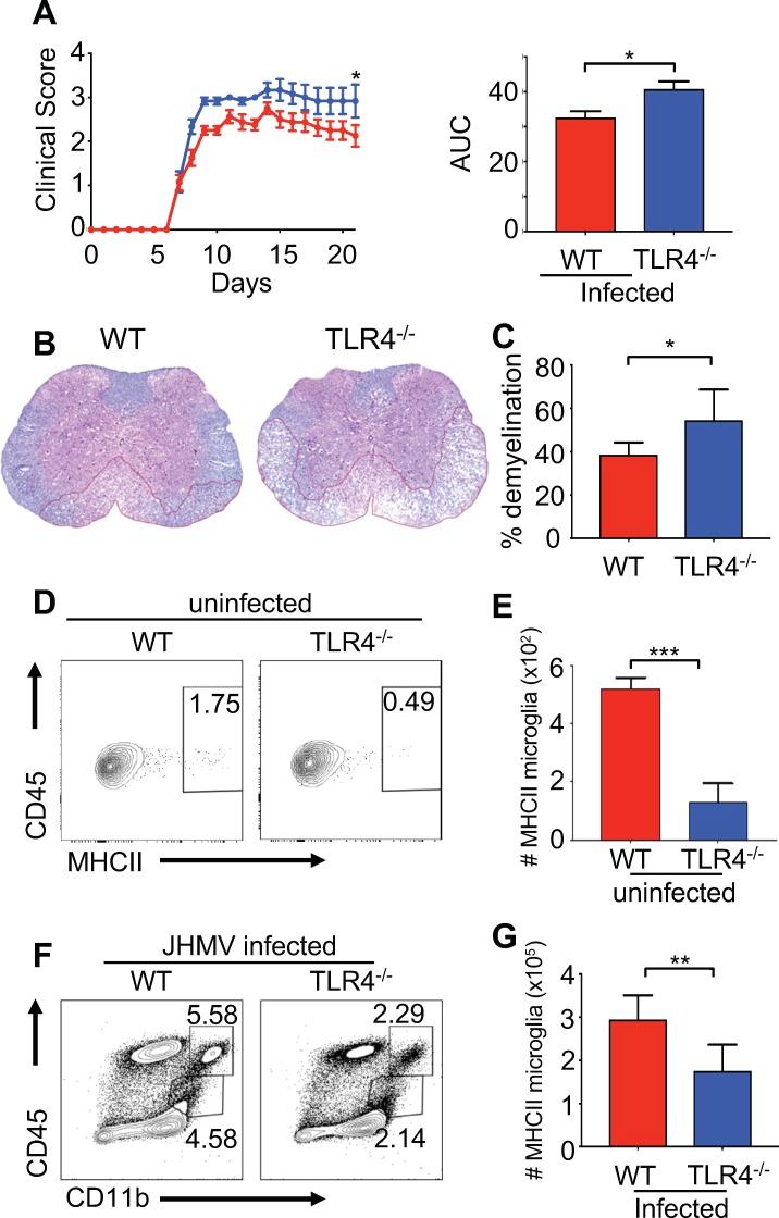 https://cdn.ncbi.nlm.nih.gov/pmc/blobs/5061/6634972/219d61cbeab6/elife-47117-fig6.jpg