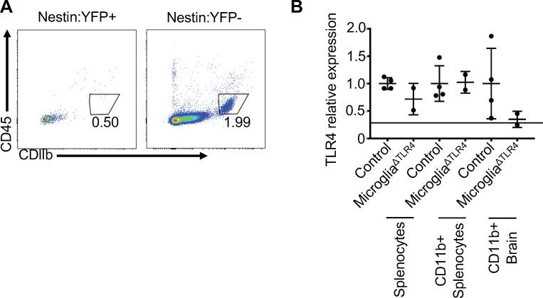 https://cdn.ncbi.nlm.nih.gov/pmc/blobs/5061/6634972/552ecc5d6a57/elife-47117-fig7-figsupp1.jpg