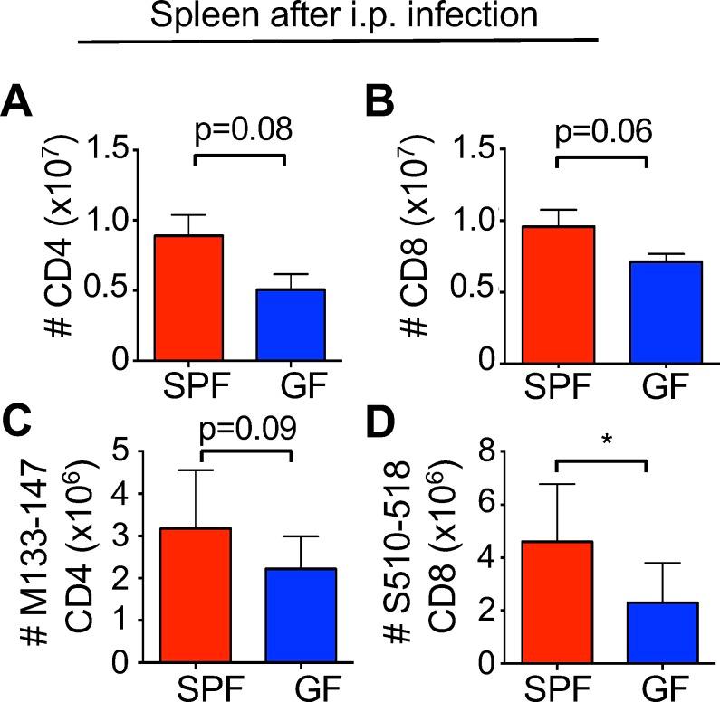 https://cdn.ncbi.nlm.nih.gov/pmc/blobs/5061/6634972/7a98b5aa71dd/elife-47117-fig2-figsupp1.jpg