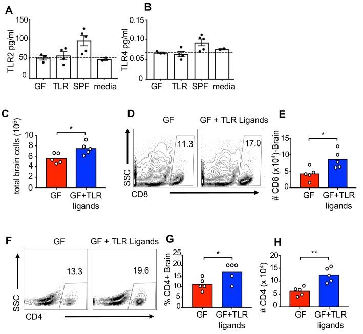 https://cdn.ncbi.nlm.nih.gov/pmc/blobs/5061/6634972/a06dc9a13b13/elife-47117-fig5-figsupp2.jpg