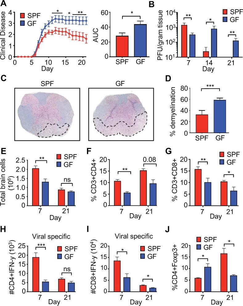 https://cdn.ncbi.nlm.nih.gov/pmc/blobs/5061/6634972/a80d07c64c26/elife-47117-fig1.jpg