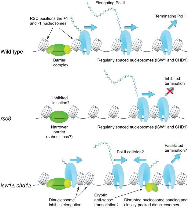 https://cdn.ncbi.nlm.nih.gov/pmc/blobs/5062/6396426/869bdacc4223/407f06.jpg