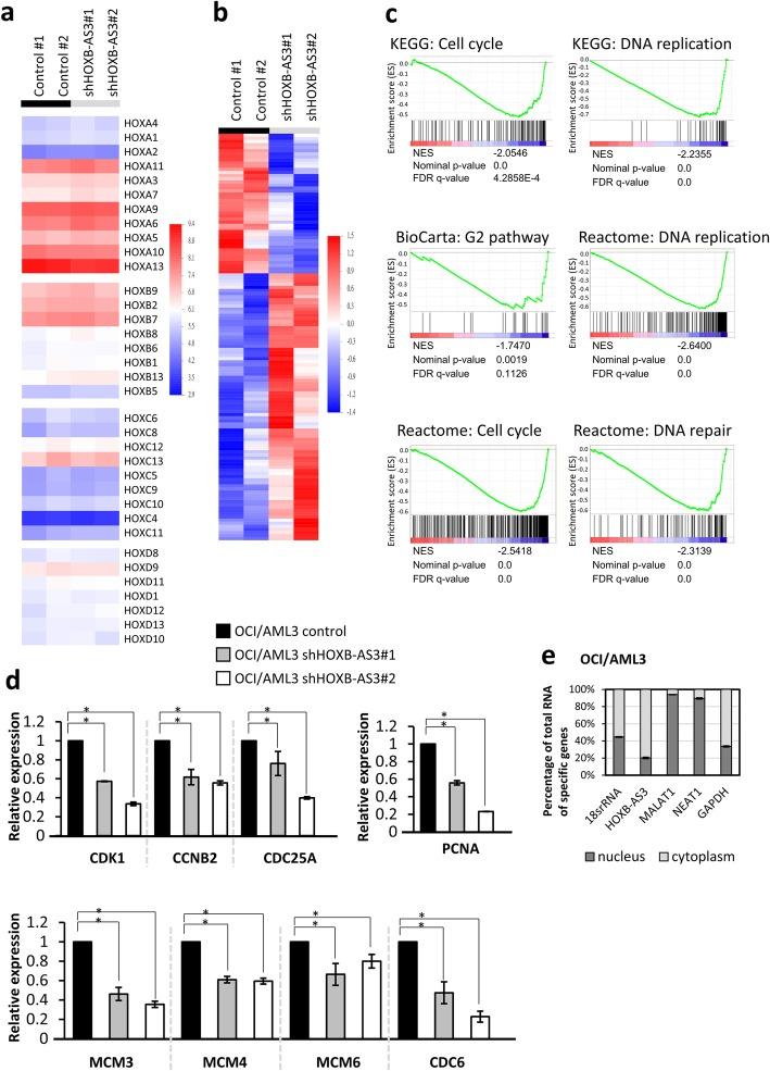 https://cdn.ncbi.nlm.nih.gov/pmc/blobs/5062/6591843/ab6f90b60c9d/12885_2019_5822_Fig3_HTML.jpg