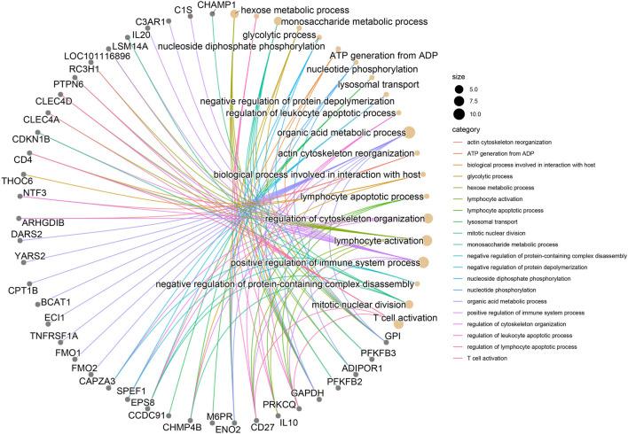 https://cdn.ncbi.nlm.nih.gov/pmc/blobs/5063/11371558/eb16918c8ca9/fgene-15-1432105-g004.jpg