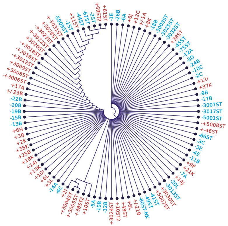https://cdn.ncbi.nlm.nih.gov/pmc/blobs/5063/12301005/4ada8376bcb1/microorganisms-13-01498-g002.jpg