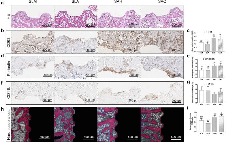 https://cdn.ncbi.nlm.nih.gov/pmc/blobs/5064/7980346/31b295a03712/12951_2021_826_Fig8_HTML.jpg