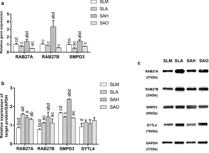 https://cdn.ncbi.nlm.nih.gov/pmc/blobs/5064/7980346/61a5d2a88af5/12951_2021_826_Fig7_HTML.jpg